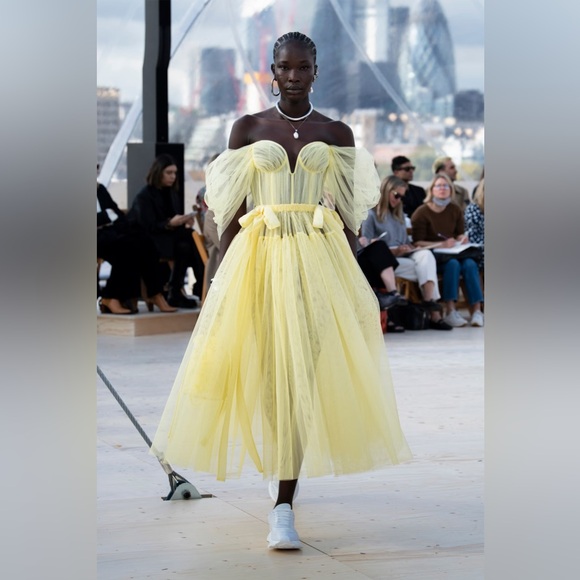 Alexander McQueen Dresses & Skirts - NWT Alexander McQueen Off the Shoulder Tulle Midi Dress Paris Runway IT 38 US 2